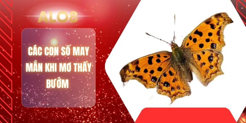 Các con số may mắn khi mơ thấy bướm