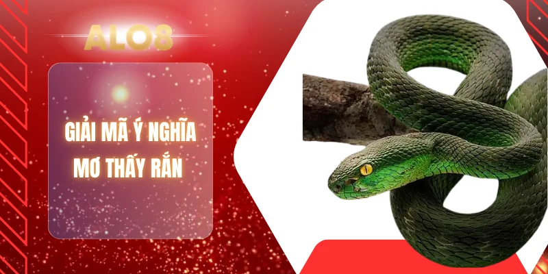 Giải mã ý nghĩa mơ thấy rắn 