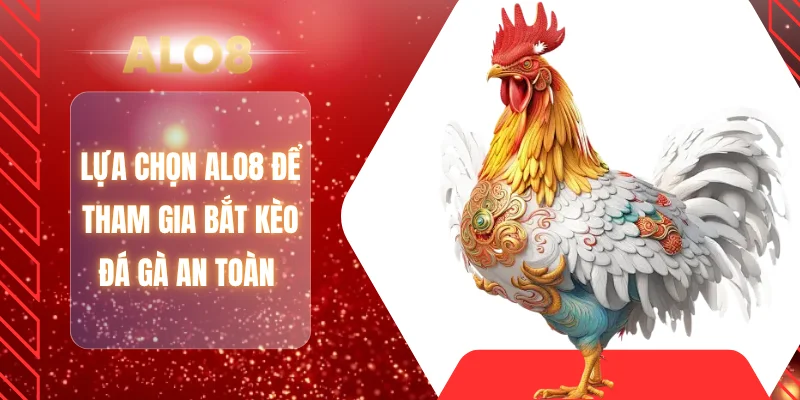 Lựa chọn ALO8 để tham gia bắt kèo đá gà an toàn