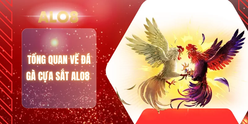 Tổng quan về đá gà cựa sắt ALO8