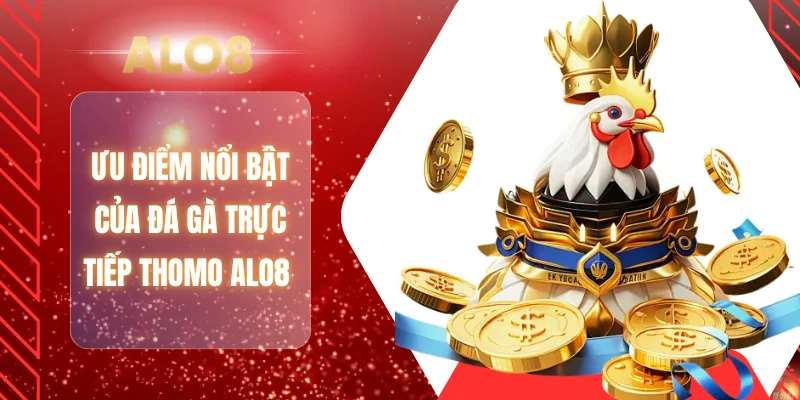 Ưu điểm nổi bật của đá gà trực tiếp Thomo ALO8 